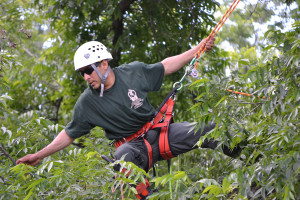 Vincente Pena-Molina climbs through the branches in competition.