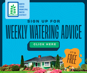 NTMWD Watering Advice 2023