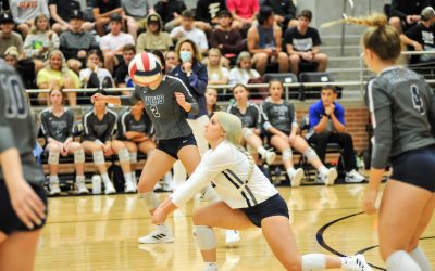 Lady Raiders defeat Denison