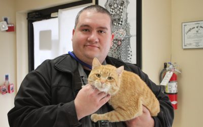 Don’t shop: Adopt a shelter pet this year