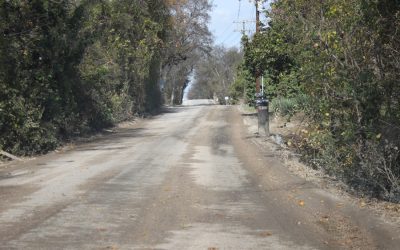 Council updated on road