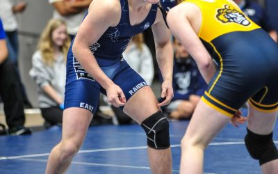 Feece places fifth at state