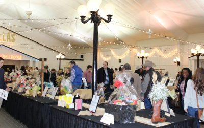 WISD gala returns in person