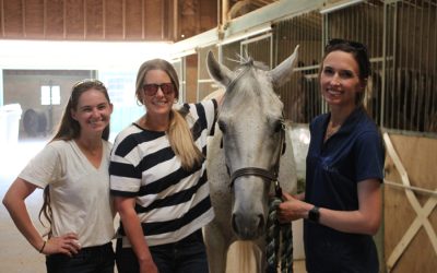 Center offers equine based therapy