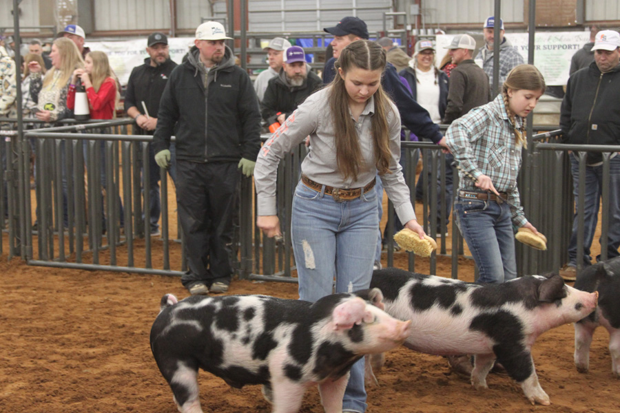County livestock show opens Jan. 7
