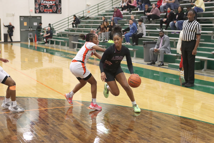 Lady Pirates show out in DISD tourney to cap big month