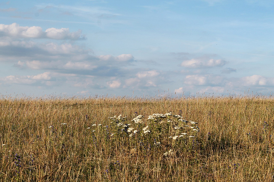 Drought conditions continue