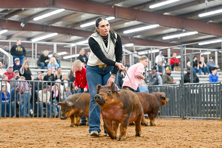 Wylie ISD ag students shine at county show